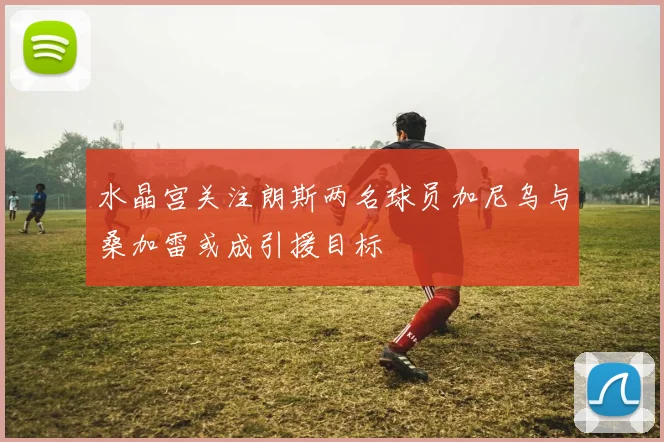 水晶宫关注朗斯两名球员加尼乌与桑加雷或成引援目标